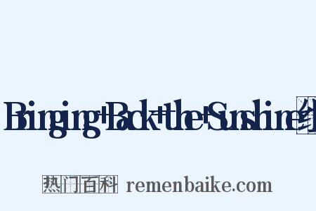 Bringing+Back+the+Sunshine组词是什么意思的图片